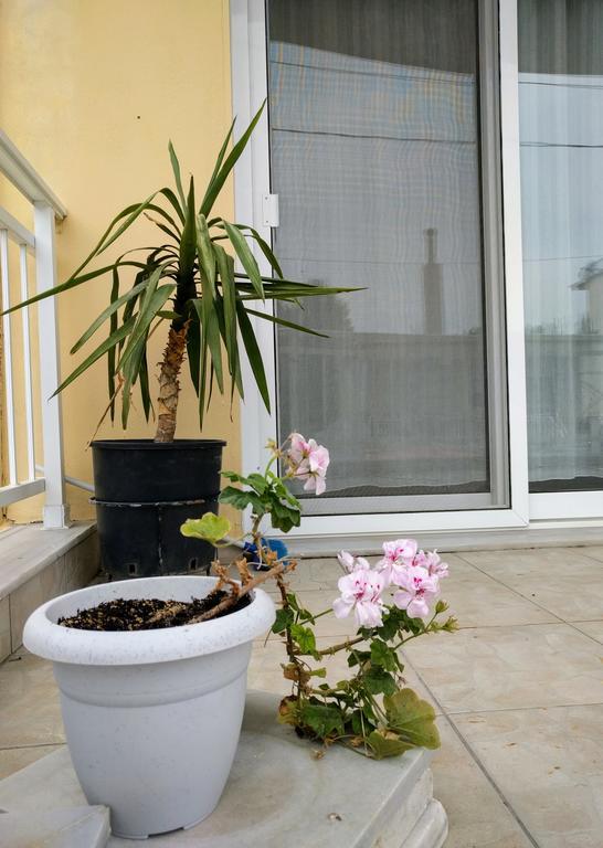 Dimitris Luxury Apartment Keramoti  Ngoại thất bức ảnh